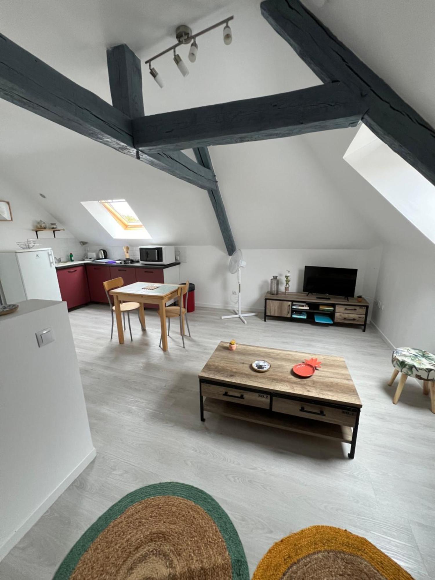 Appartement Avec Cours Saint-Brisson-sur-Loire Bagian luar foto